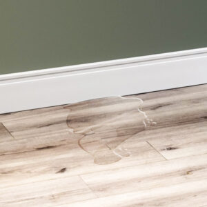 Zocalos eps blanco reforma line 2351